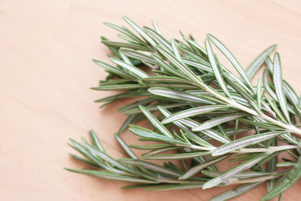bundle, of, rosemary, leaves, herb, herbs, food, kitchen, rustic, organic, nature, on, wood, wooden, table, agriculture, vegetarian, fresh, closeup, close-up, rosemary, rosemary, rosemary, rosemary, rosemary